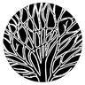 Cultural Evolution Society 2021